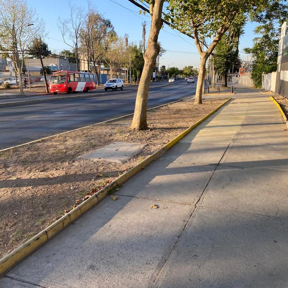 Antes: vereda de hormigón con bandejón de tierra