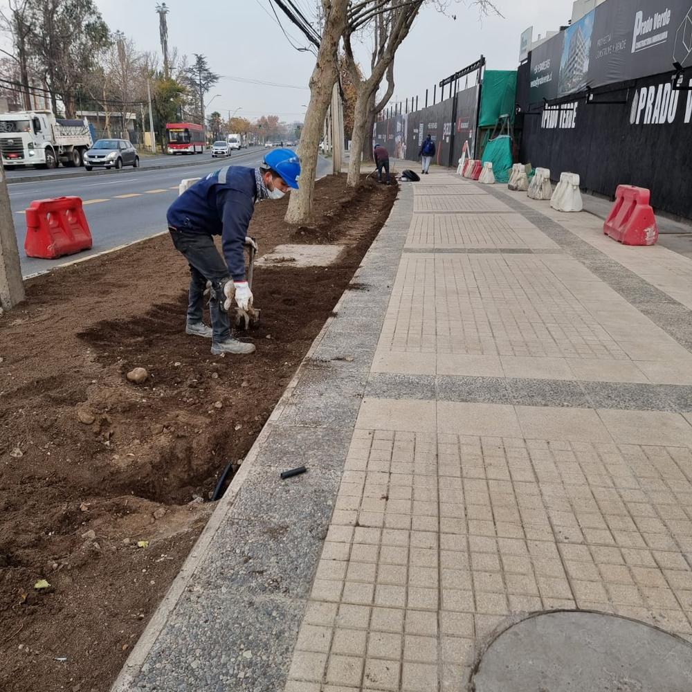 Después: vereda nueva en baldosa y bandejón en preparación para paisajismo